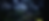 Wilderdark environment with t-rex lurking in background