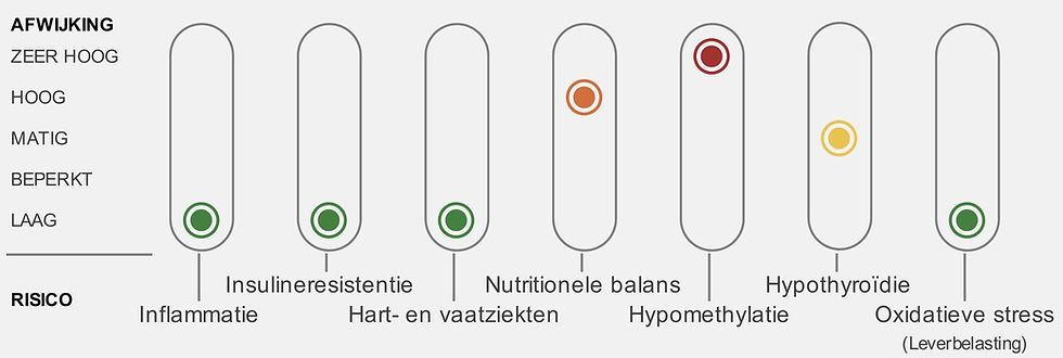 Alles wordt weergegeven in een duidelijk dashboard, ideaal om samen met je arts te bespreken.