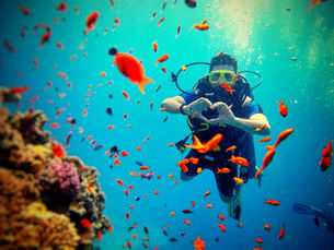 Scuba diver swimming with fish during scuba diving vacation packages experience