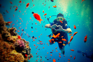 Scuba diver swimming with fish during scuba diving vacation packages experience