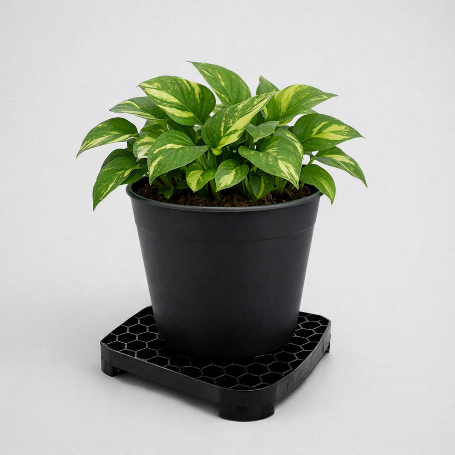 DRAINING TRAY SET BLACK EDITION 06