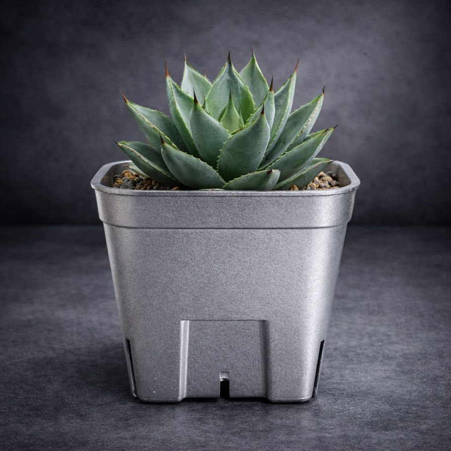 PRESSTERA ALUMI90 02