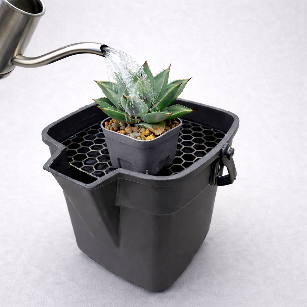 DRAINING TRAY SET BLACK EDITION 02