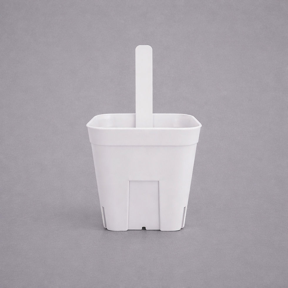 PRESSTERA LABEL WHITE 01