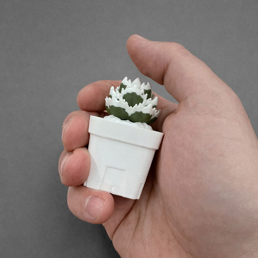 PRESSTERA CRICER WHITE