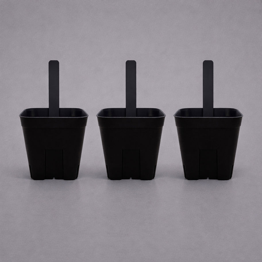 PRESSTERA LABEL BLACK 03