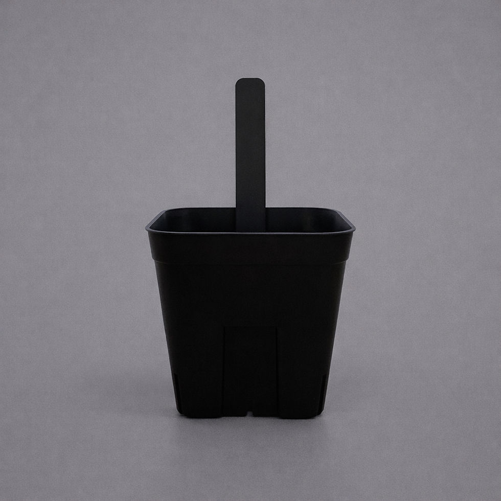 PRESSTERA LABEL BLACK 01