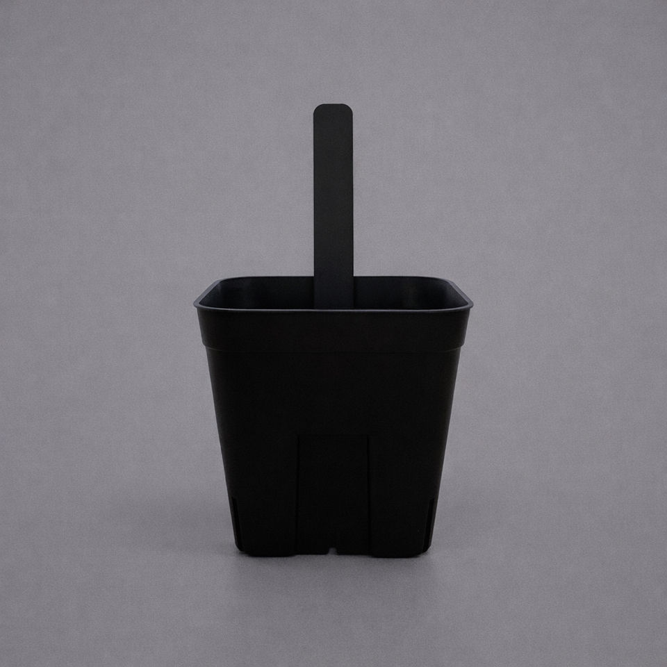 PRESSTERA LABEL BLACK 01