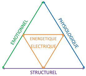 TRIANGLE SANTE Kinésiologie Pill'Equilibre