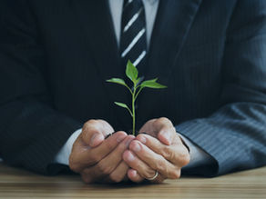 Impulsando la Sostenibilidad Ambiental en Empresas: Transformación Digital y Software de Gestión