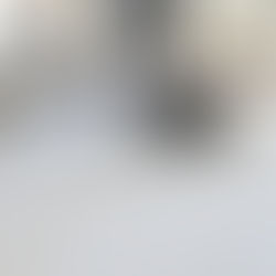 真っ白なラグと猫