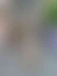 Ragna met home made paracord halsband