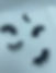9ADDC416-732C-44AD-A8C1-EC021E67B4F7.jpeg