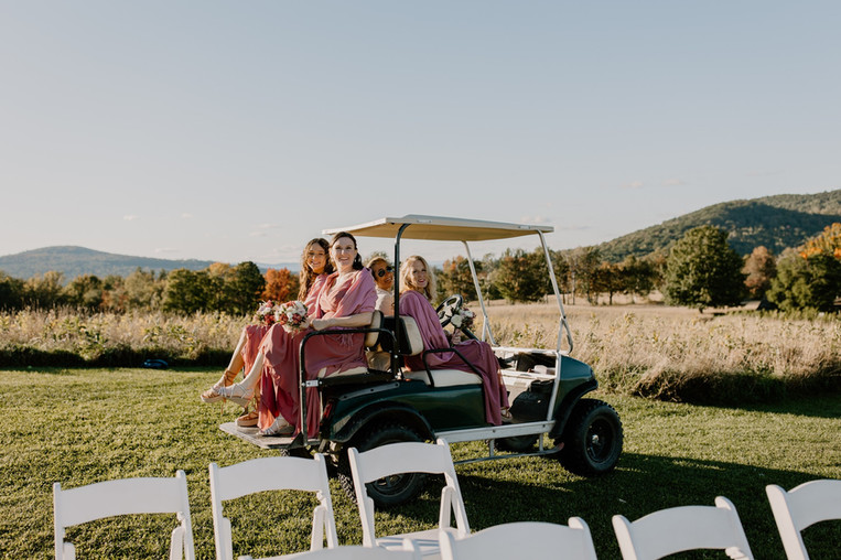 mandy and wedding party on golf cart danika b photo.jpeg