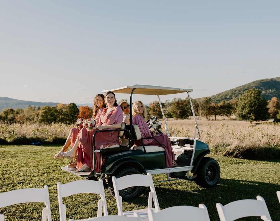 mandy and wedding party on golf cart danika b photo.jpeg