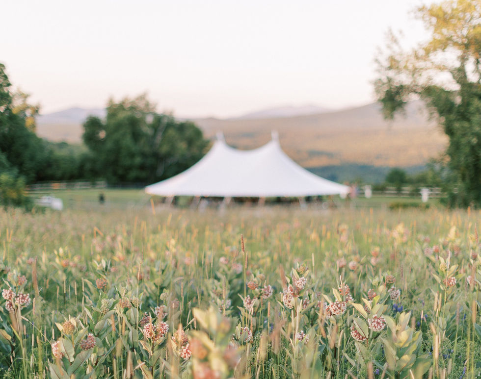 milkweed field and tent toad hill farm alexis and grayson.jpeg