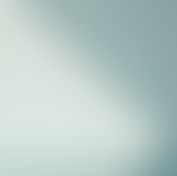 Hiring Professional Painters