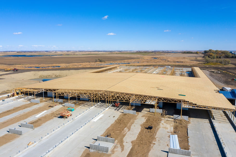 DJI_0531