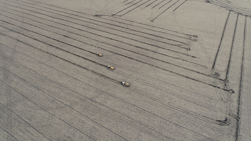 DJI_0053