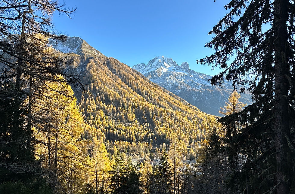 THE VIEW LANDSCAPE_edited.jpg