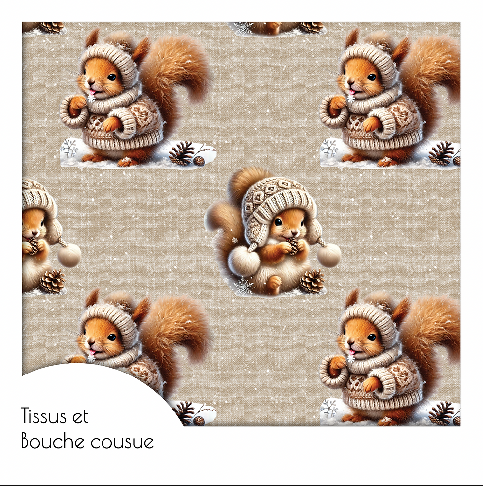 ÉCUREUILS-HIVER