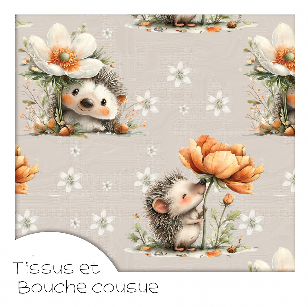 HÉRISSONS-PRINTEMPS