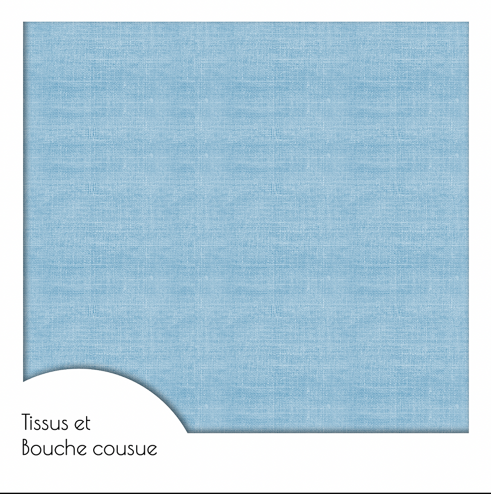 HÉRISSONS-COCOTTES-COORD