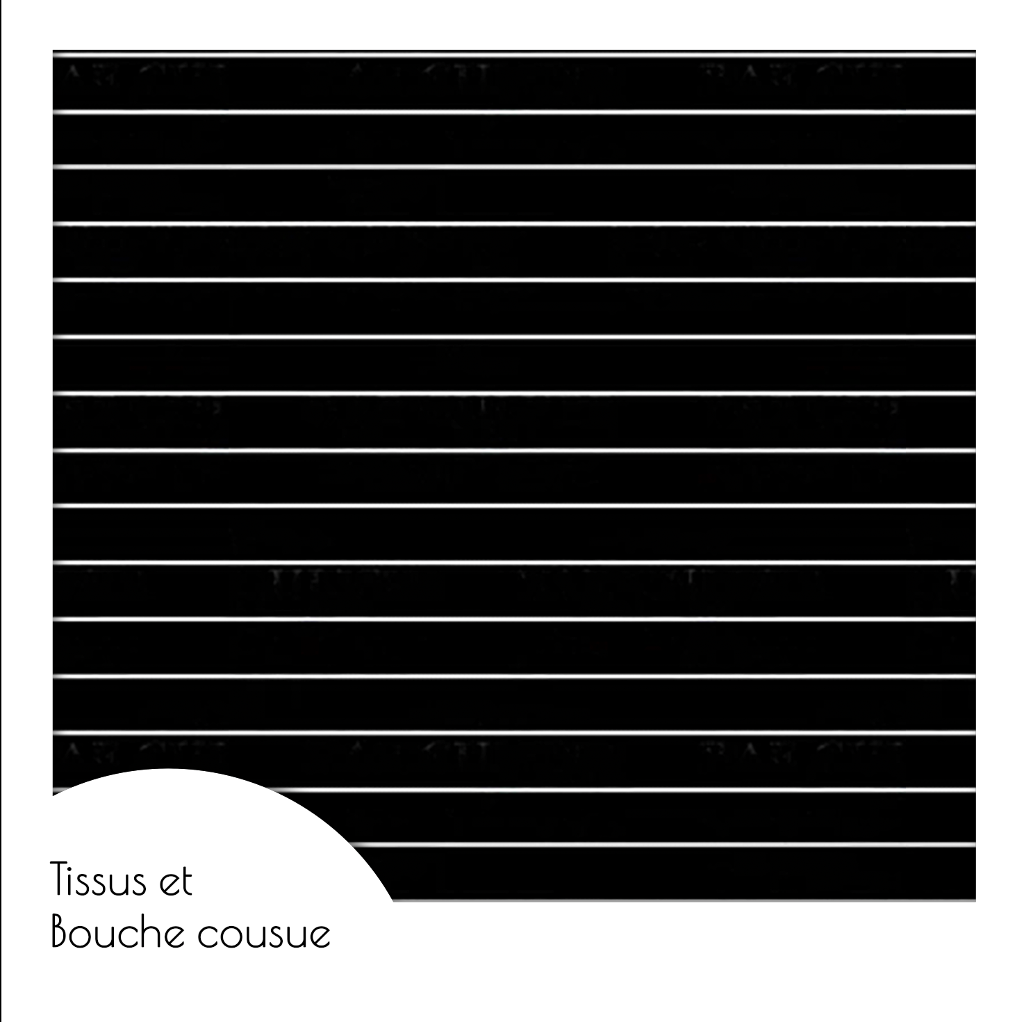 PETITES LIGNES BLANCHES