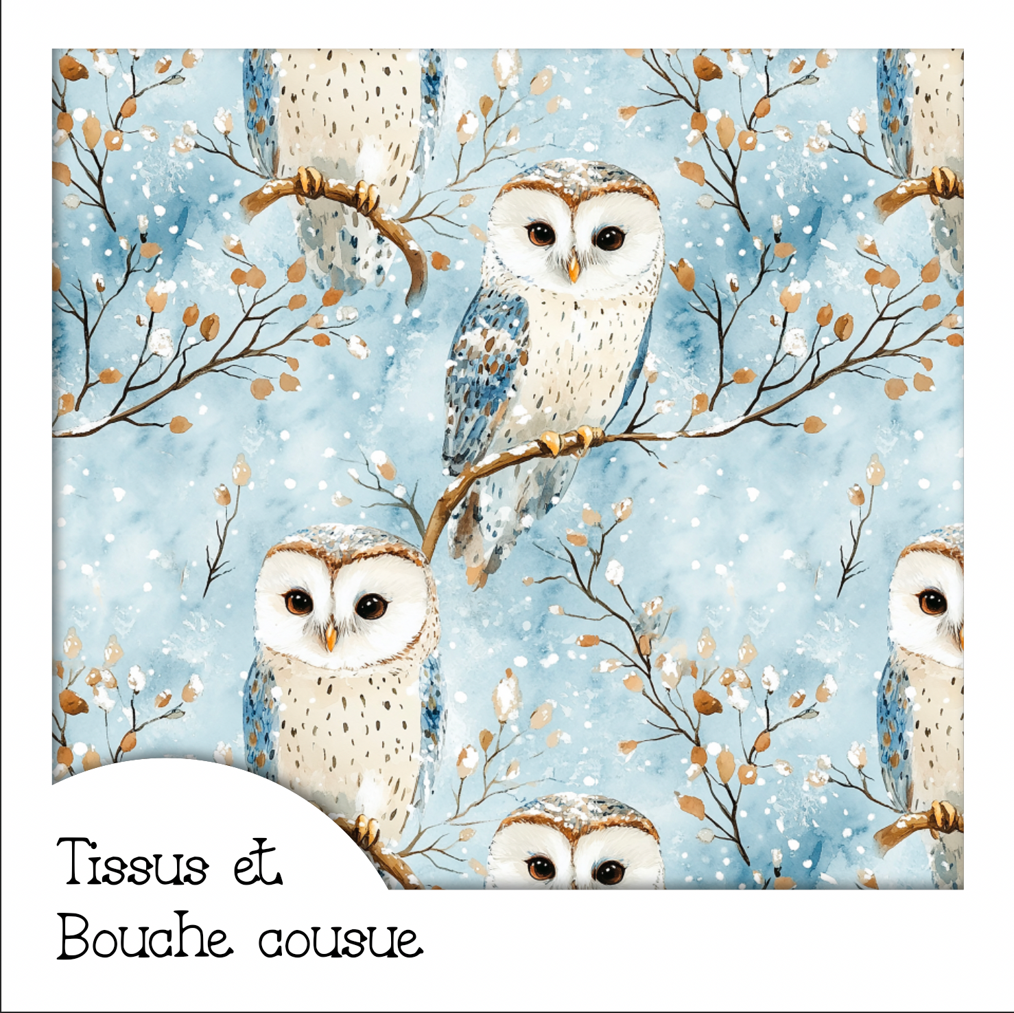 CHOUETTES HIVERNALES