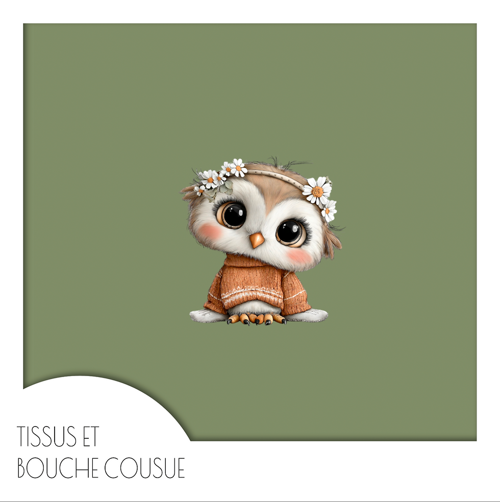 CHOUETTE-VICHY-PANNEL