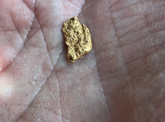 GALLERY Nugget Shooter