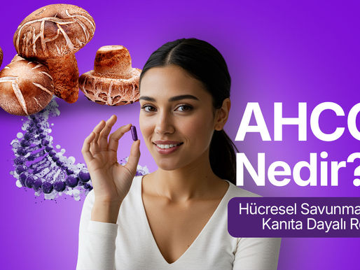AHCC, AHCC nedir?