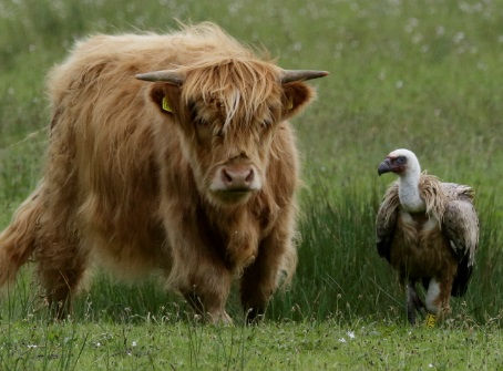 Train your body... Gain Mobility and Greater Dance Potential.