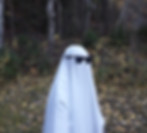 2025 Halloween Video Project Ghosts_edited.jpg