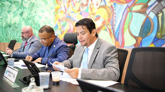 Câmara Municipal de Ponta Porã realiza 25ª Sessão Ordinária nesta terça-feira, dia 18