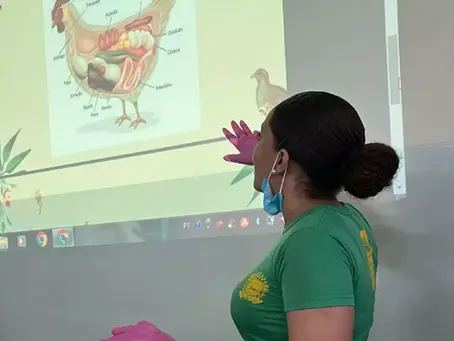 Tecnologia transformou aprendizado, mas uso excessivo do celular ainda é desafio para professores