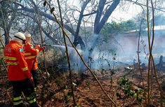 Hanna cobra ações preventivas para combate a incêndios na área urbana de Corumbá