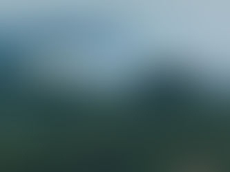 Bolívia pede ajuda ao Brasil para enfrentar incêndios no Pantanal