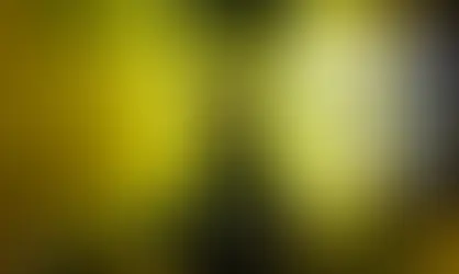 CBF divulga datas e locais das primeiras rodadas do Brasileirão 2026