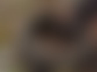 SES realiza força-tarefa com Defesa Civil para conter avanço da chikungunya em Dourados