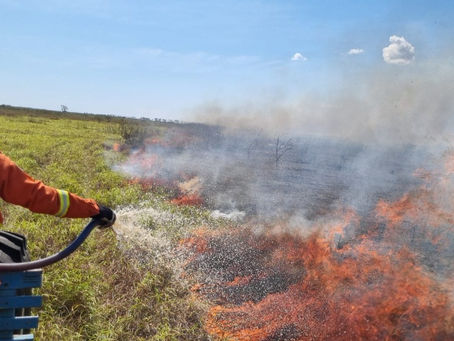 Ministra afirma que 55% dos focos de incêndios no Pantanal foram extintos