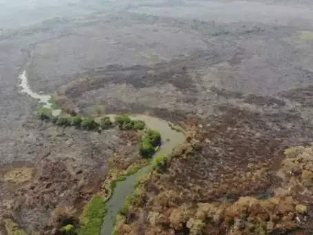 Estatuto do Pantanal será votado pela comissão do senado em julho