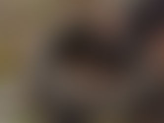 Com três mortes por dengue este ano, MS terá dia D contra doença no sábado