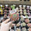 Thumbnail: Graptosedum darley sunshine