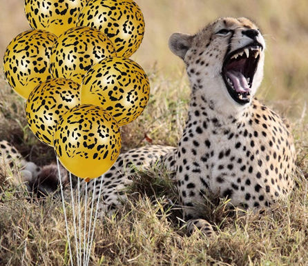 Bonne fête Manuel !