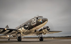 TSJ_6744