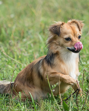 konhora (77 of 1).jpg