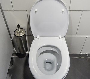 Toilets & Sinks Installation