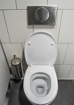 Toilets & Sinks Installation