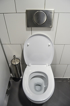 Modern Toilet Design